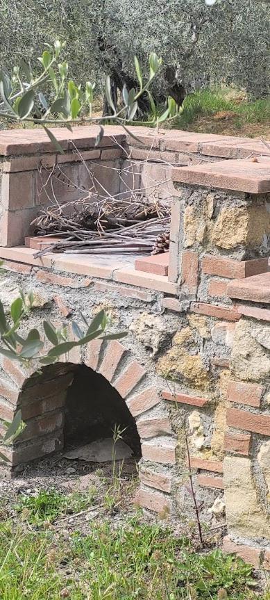Agriturismo Il Poggio 카살레 마리티모 외부 사진
