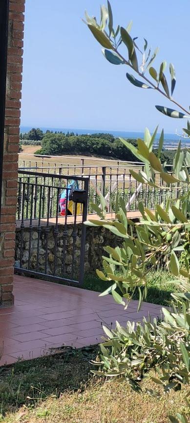 Agriturismo Il Poggio 카살레 마리티모 외부 사진
